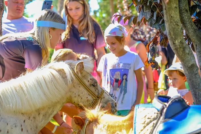 Deniz Manzaralı Oda 3